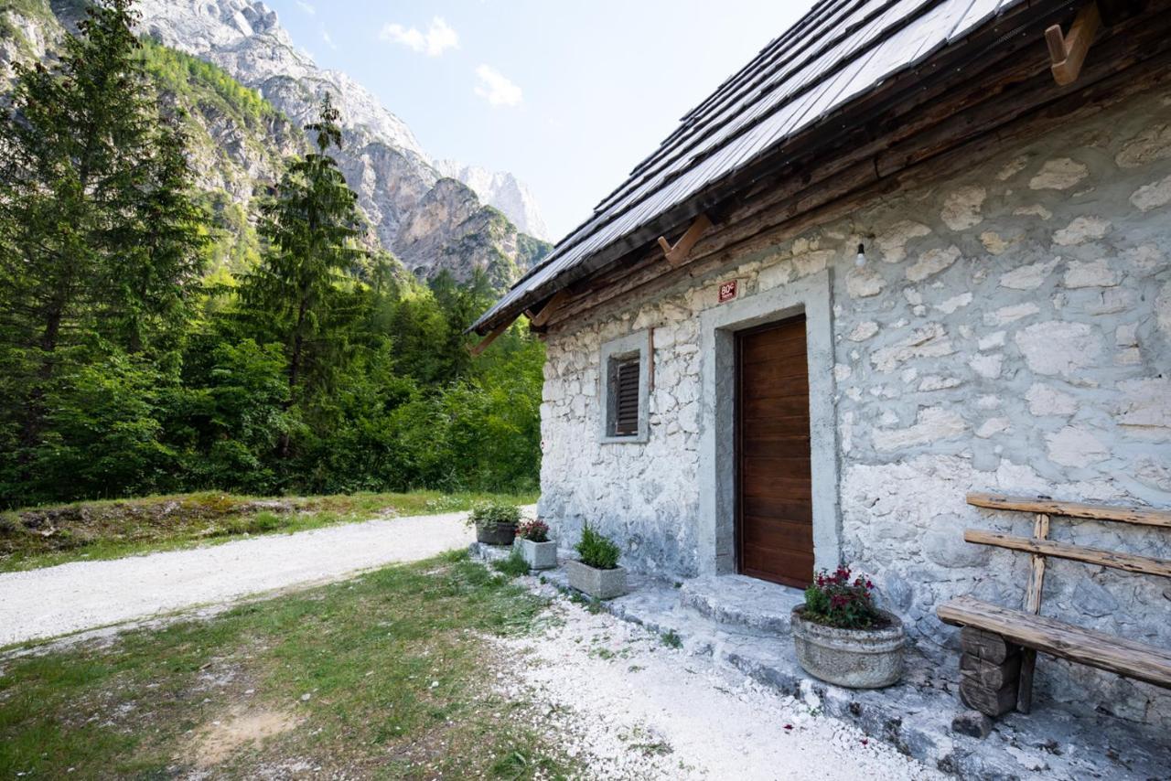 Mountain Heart Holiday House Trenta Ngoại thất bức ảnh