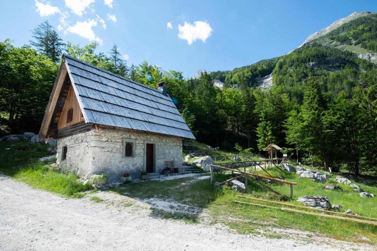 Mountain Heart Holiday House Trenta Ngoại thất bức ảnh