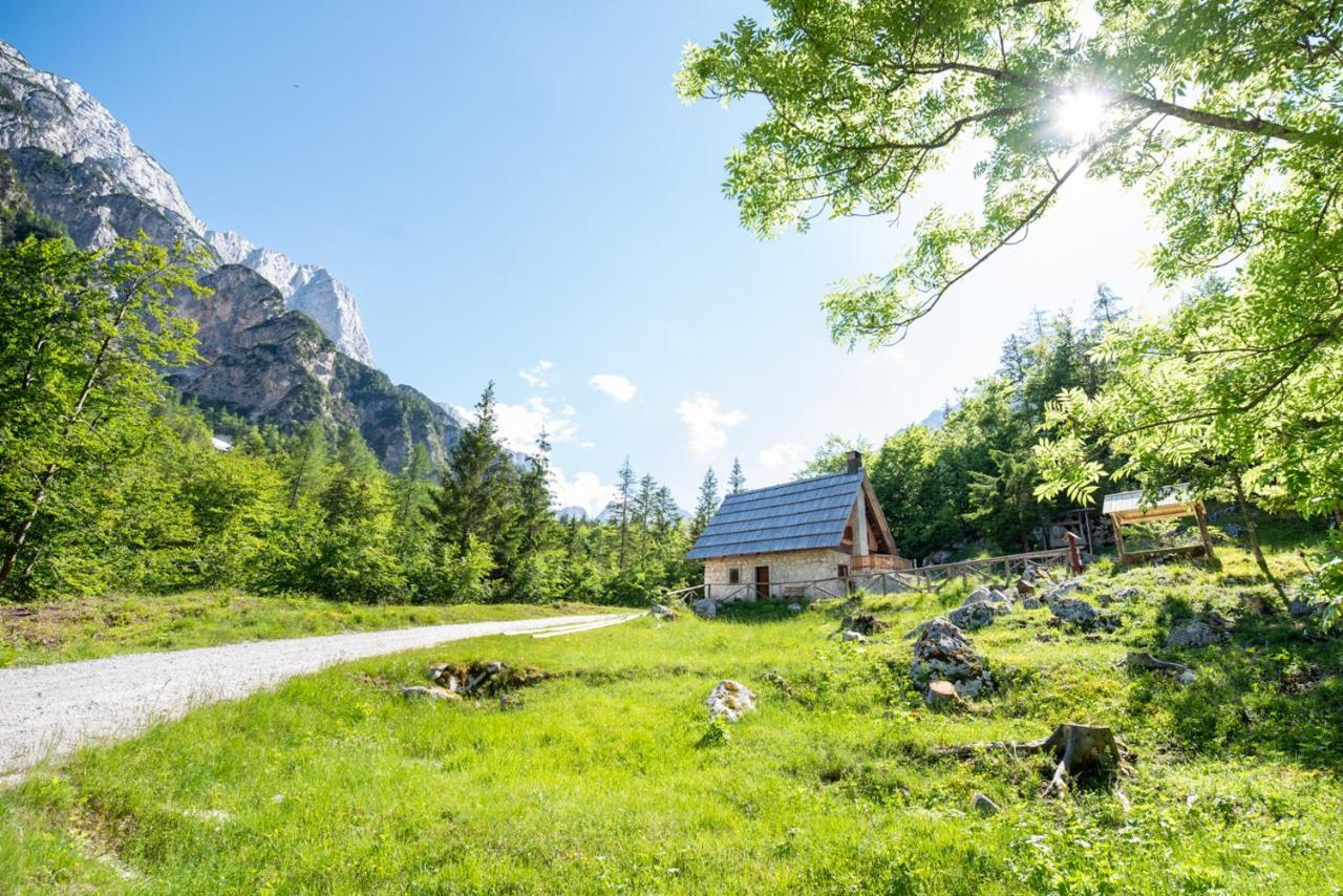 Mountain Heart Holiday House Trenta Ngoại thất bức ảnh